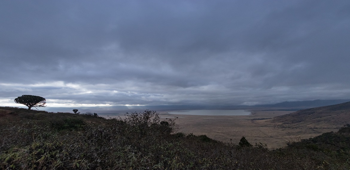 5 DAYS / 4 NIGHTS KILIMANJARO CLIMB VIA MARANGU ROUTE